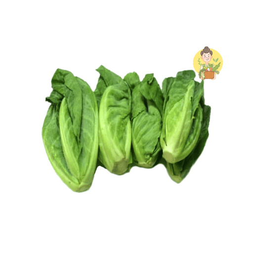 Jual Sayur Cuciwis / Siwil 250 gr - Sayur Segar Instan Malang | Shopee ...