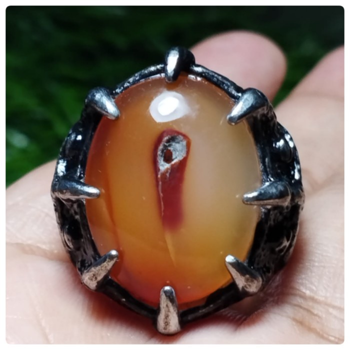Jual Gambar Bunga Raflesia Terlengkap & Harga Terbaru Mei 2026 | Shopee ...