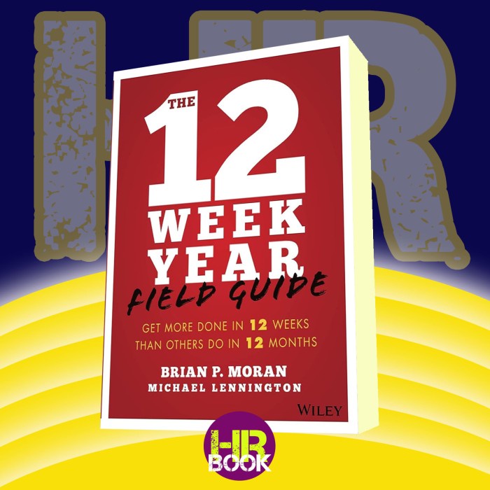 Jual the 12 week year field guide get more done in 12 weeks shopee