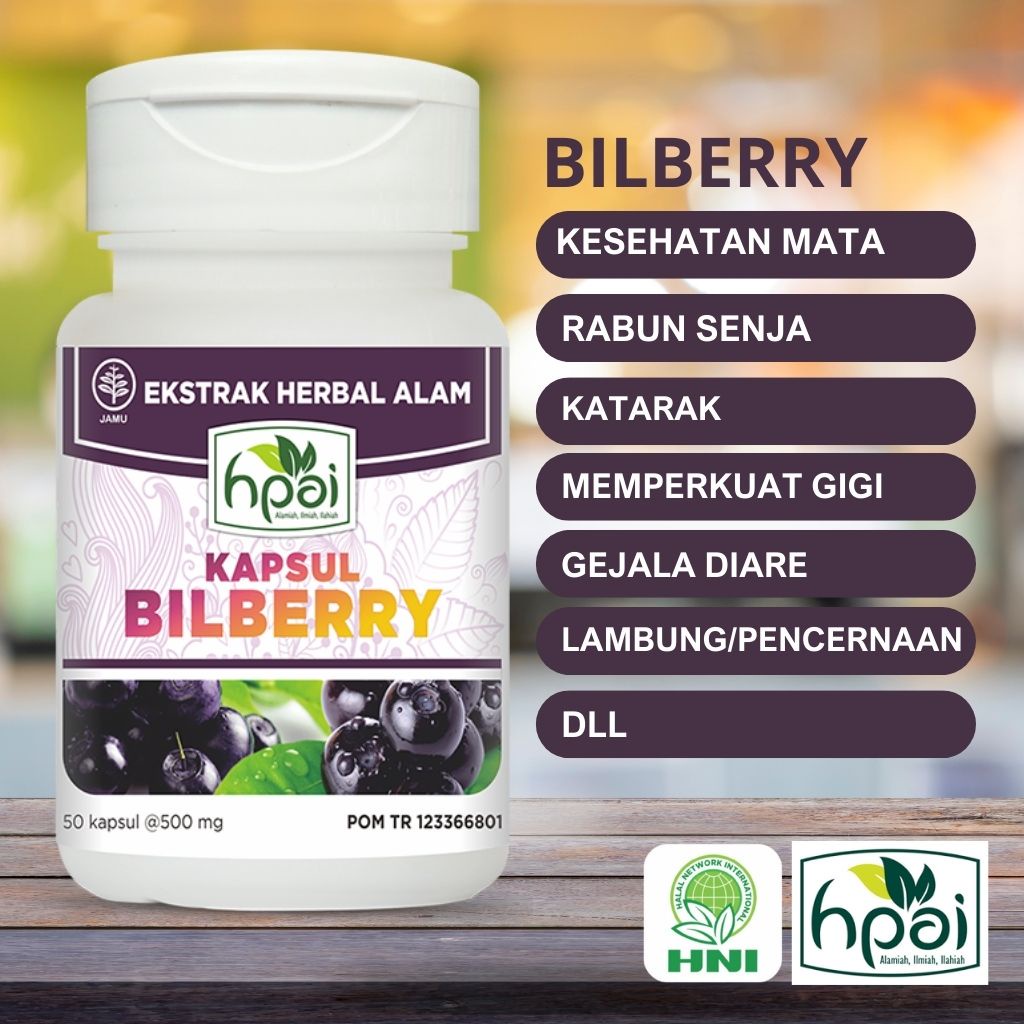Jual Bilberry HNI HPAI isi 50 kapsul Herbal untuk menguatkan imun dan
