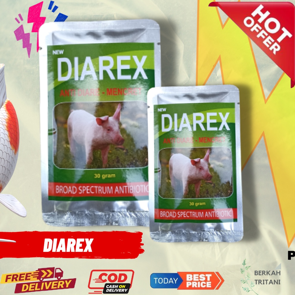 Jual DIAREX BABI 30 G OBAT ANTI DIARE DAN MENCRET UNTUK BABI | Shopee ...