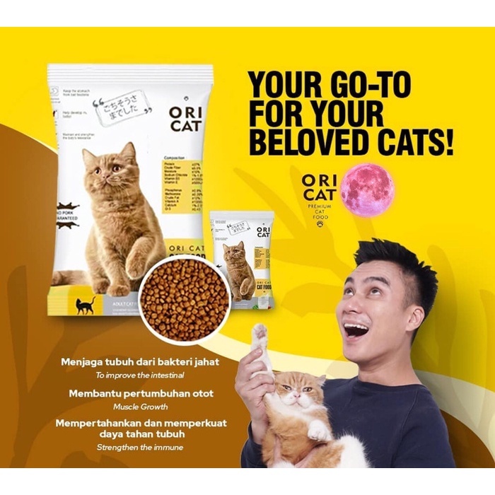 Jual Makanan Kucing Kering Cat Food Dry 800 Gr | Makanan Kucing Kering