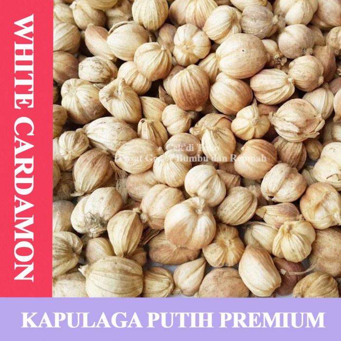 Jual Kapulaga Putih Kapolaga Putih Super 1 Kg White Cardamom Premium 1 Kg Shopee Indonesia 7347