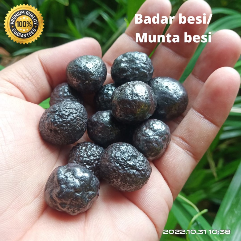 Jual Batu Badar Besi Munta besi Nempel magnet alami | Shopee Indonesia
