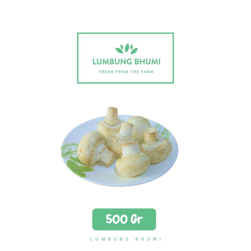Jual Jamur Kancing Champignon Sayur 500 Gr Lumbung Bhumi Shopee