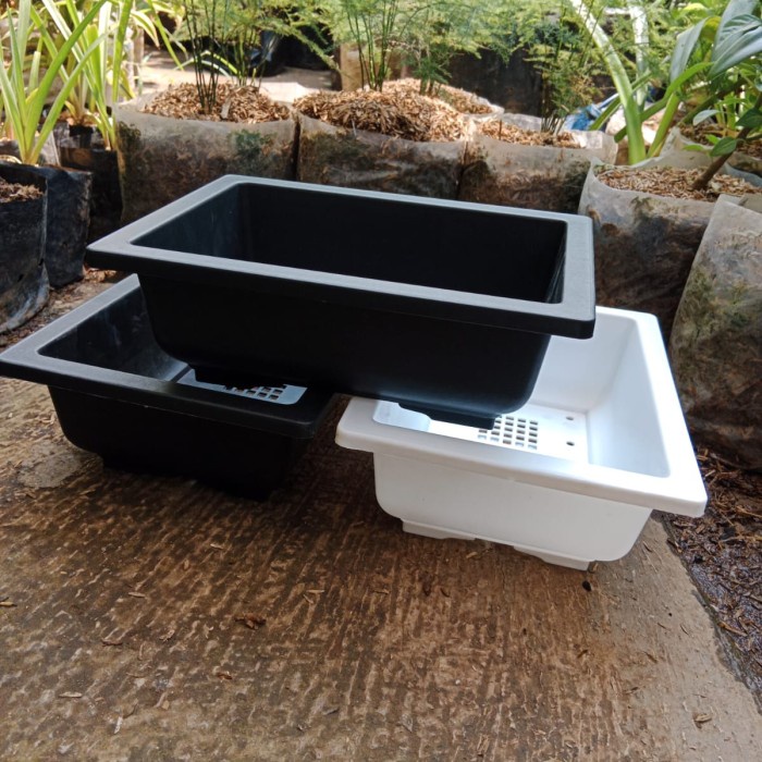 Jual pot bonsai kotak plastik nkt 01, pot bonsai ceper murah bagus ...