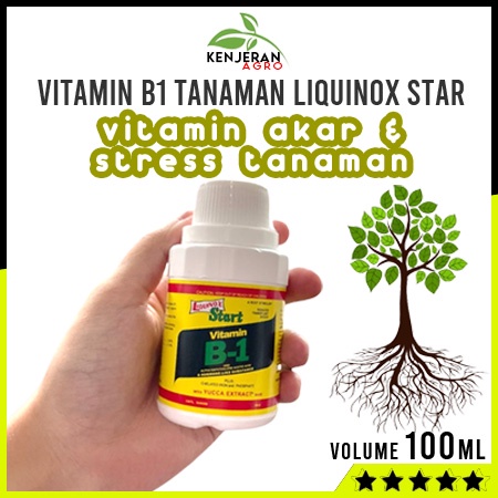 Jual Liquinox Star Vitamin B1 Tanaman Anti Stress Akar 100ml | Shopee ...