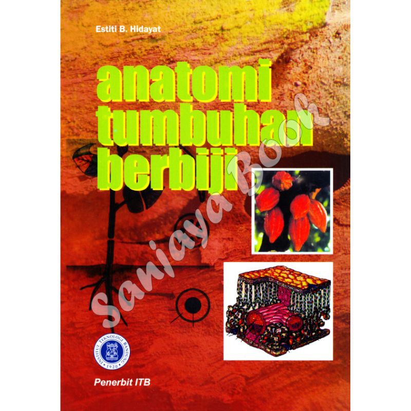 Jual Anatomi Tumbuhan Berbiji Estiti B. Hidayat | Shopee Indonesia