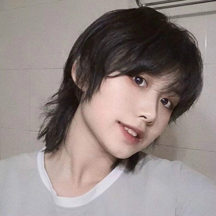 Jual Perak kepala mullet versi Korean pria tampan rambut pendek -wig