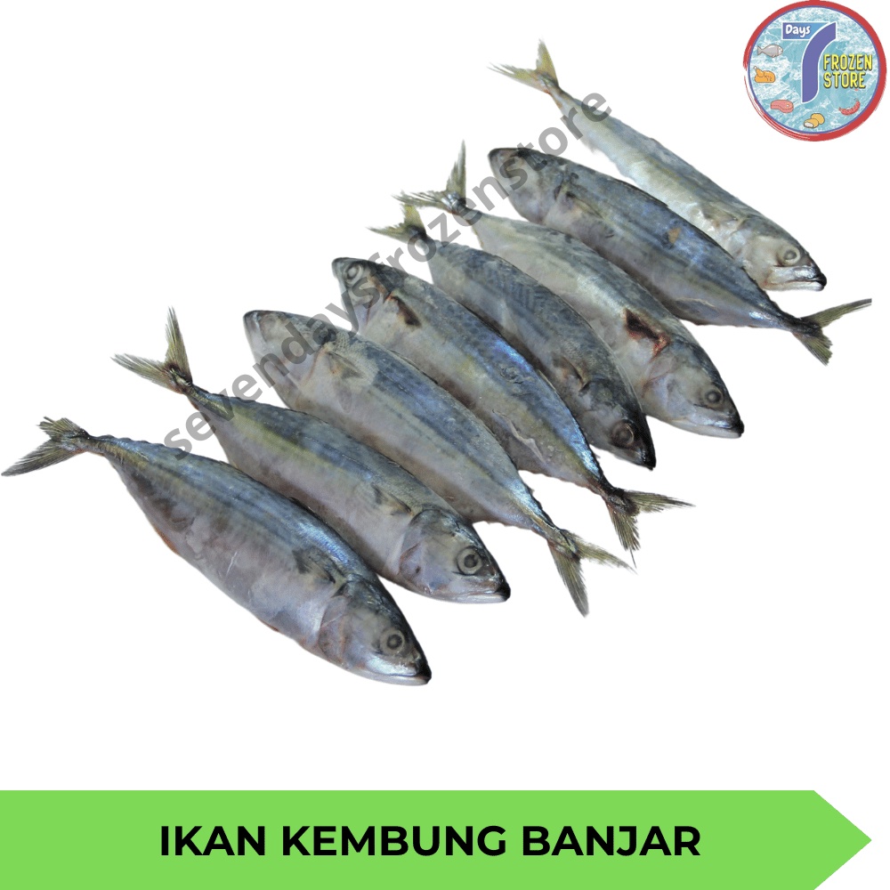 Jual Ikan Kembung Banjar Beku Frozen Shopee Indonesia