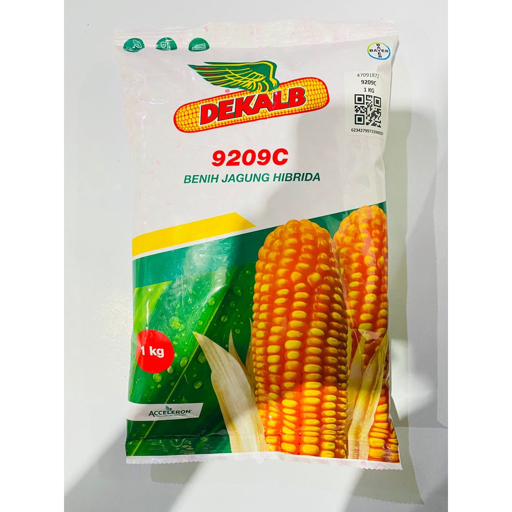 Jual Benih Jagung Hibrida DEKALB Isi 1kg Dari ACCELERON | Shopee Indonesia