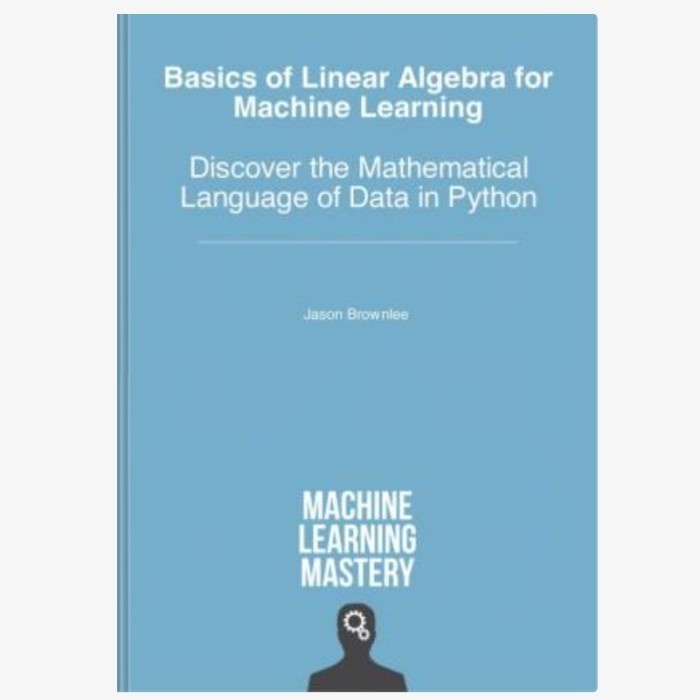 Jual Buku Basics of Linear Algebra for Machine Learning Discover the