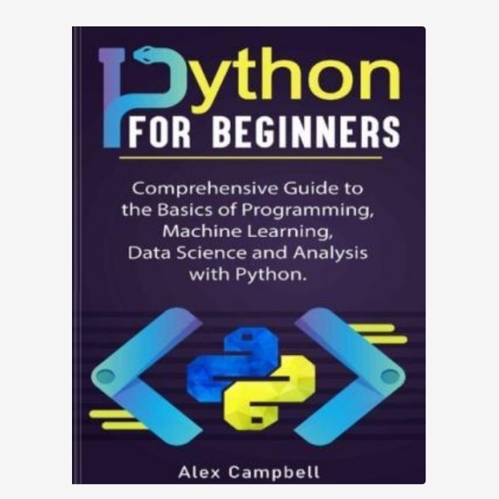 Jual BUKU Python for Beginners: Comprehensive Guide to the Basics of ...
