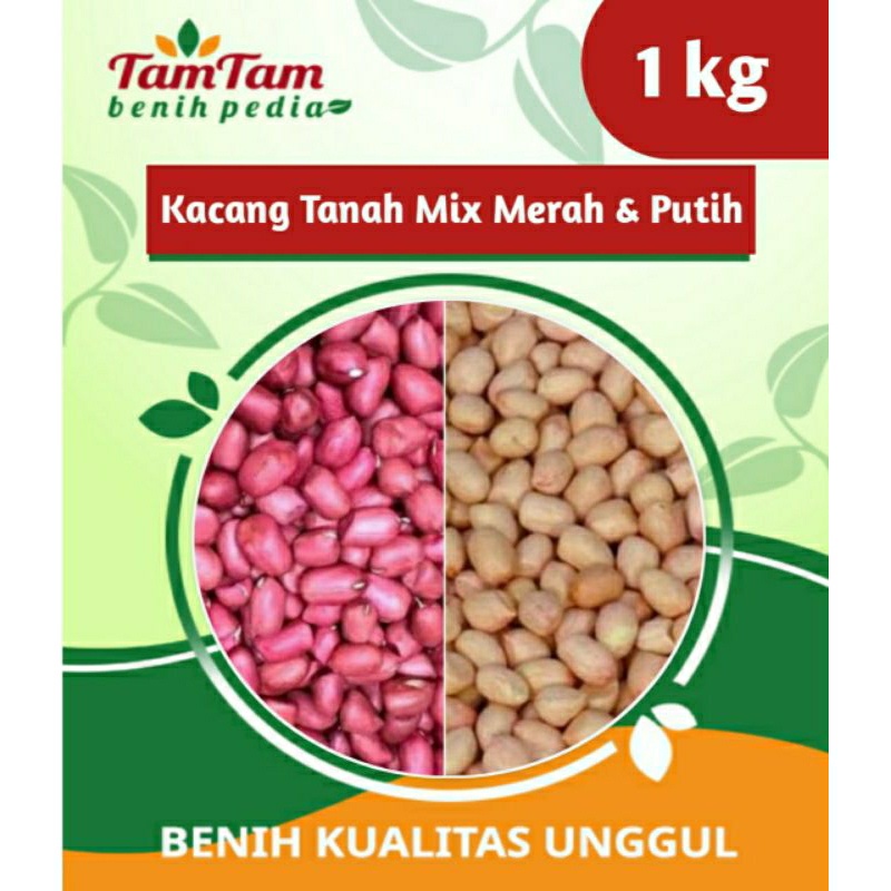 Jual Terbaru Benih Kacang Tanah Hibrida Super Merah And Putih 1kg