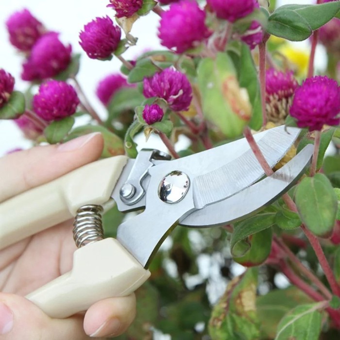 Jual Gunting Potong Ranting Tanaman Stainless Pruning Bunga Batang ...
