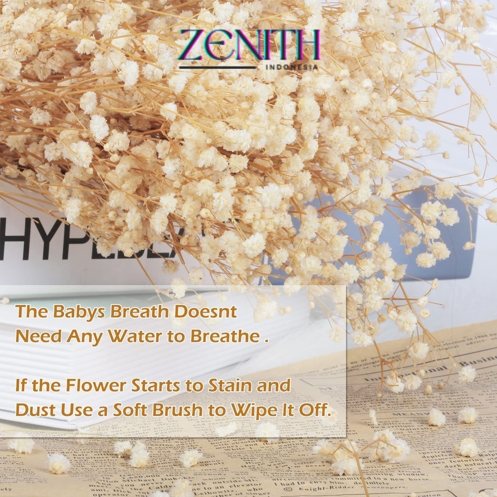 Jual Zenith - Baby Breath Dried Flower 50gram Bunga Preserved Import ...