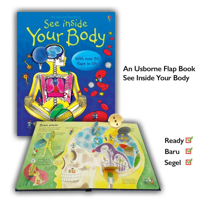 Jual Buku See Inside Your Body Usborne With over 50 flaps to Lift ...