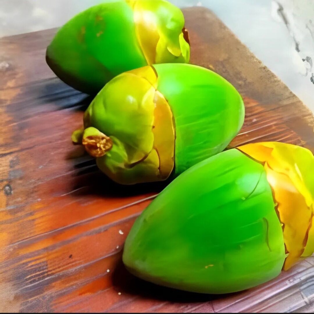 Jual buah buruluk cengkir buah kelapa kecil isi 3 pcs Shopee Indonesia