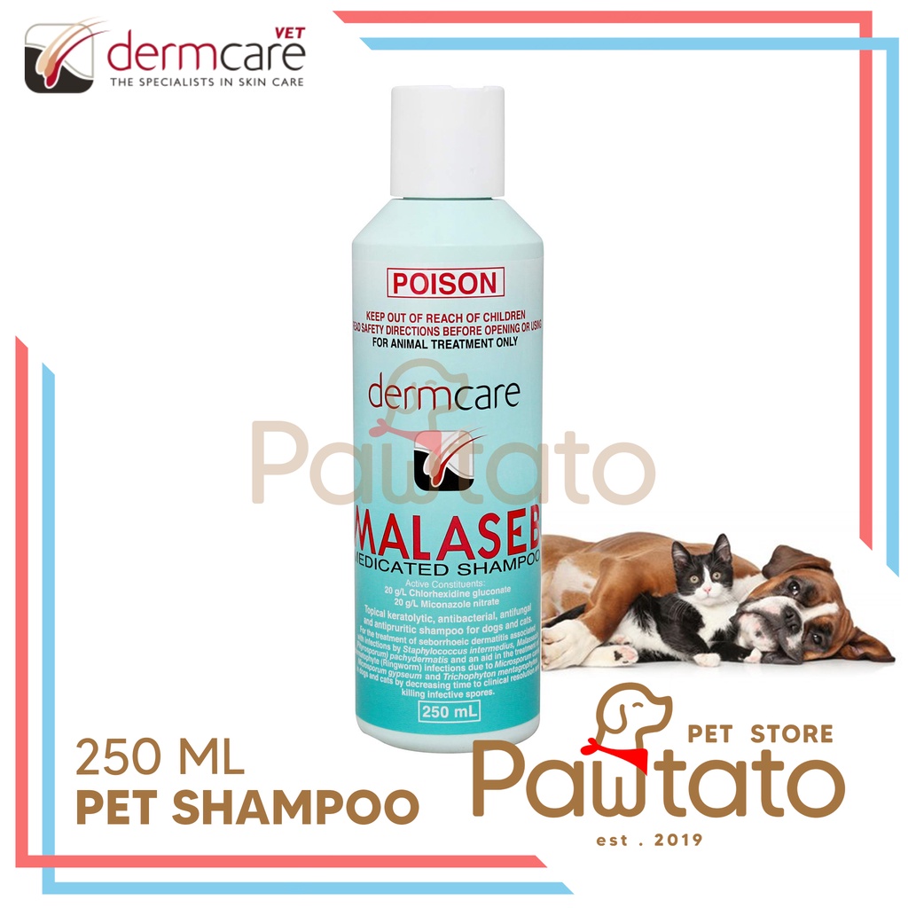 Jual Shampoo Anjing Dermacare Malaseb 250ML Anti Jamur Dog Cat Kulit