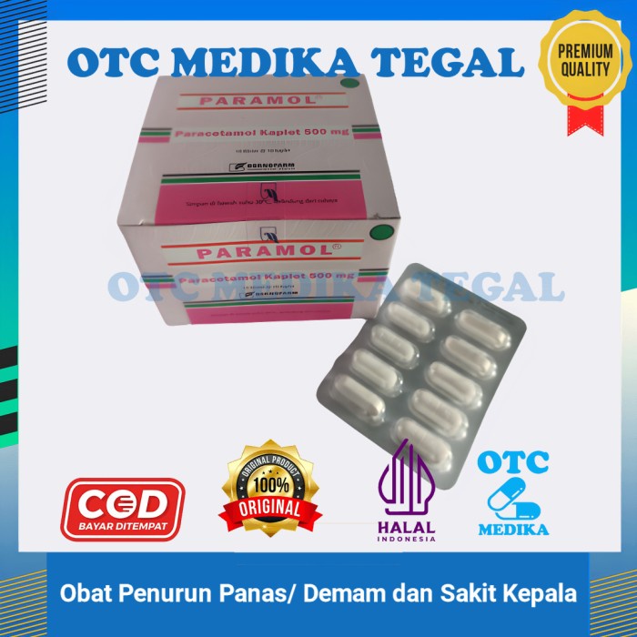 Jual Paramol 500mg 1 Strip Obat penurun panas/ demam dan Sakit kepala