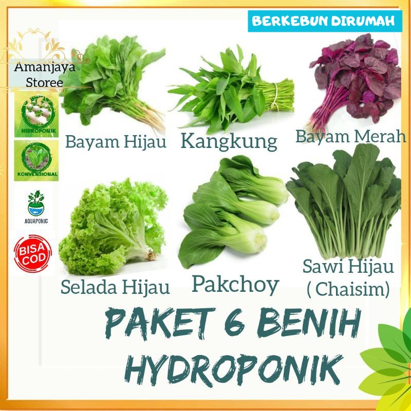 Jual PAKET 6 BENIH SAYURAN DAUN CEPAT PANEN + BONUS Polibag Semai ...