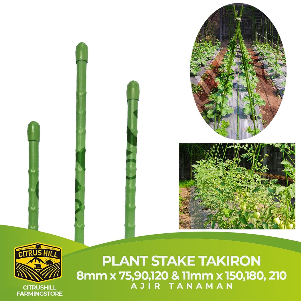 Jual Ajir Penyangga Tanaman Modern Takiron 8mm X7590120cm 11mm X150180210cm Plant 1333