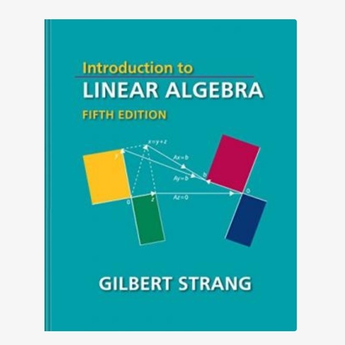Jual Buku Introduction to Linear Algebra | Shopee Indonesia