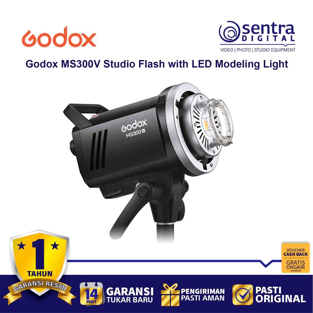 Jual Godox MS300-V Studio Flash Monolight ( MS300 V ) | Shopee Indonesia