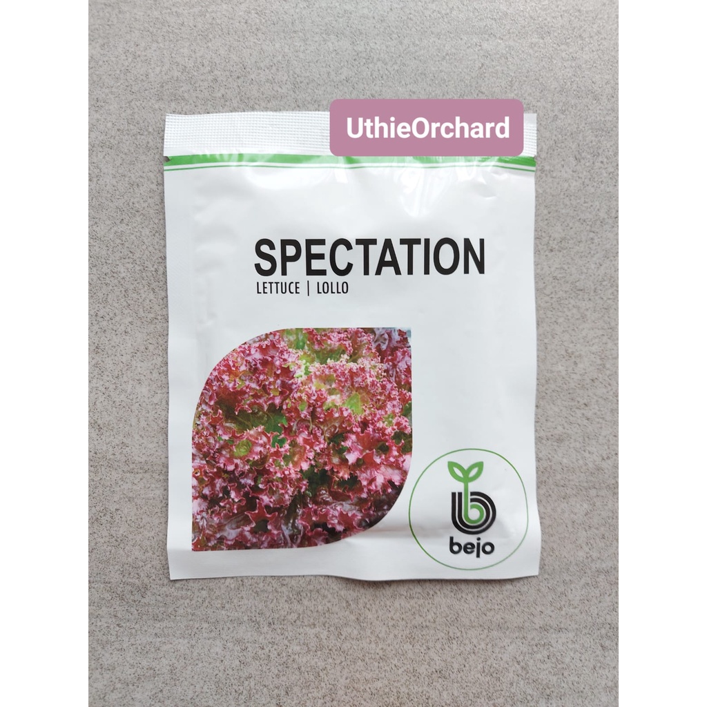 Jual Benih Bejo Seed - Selada Lollo Rossa Spectation Kemasan 1000 pills ...