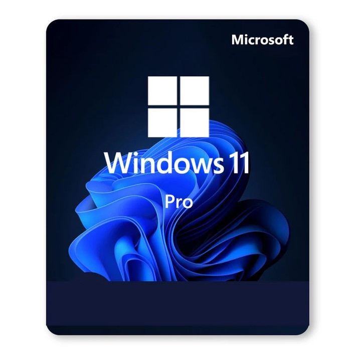 Jual [PROMO] Windows 11 Pro Lifetime Original GARANSI 1 TAHUN | Shopee ...