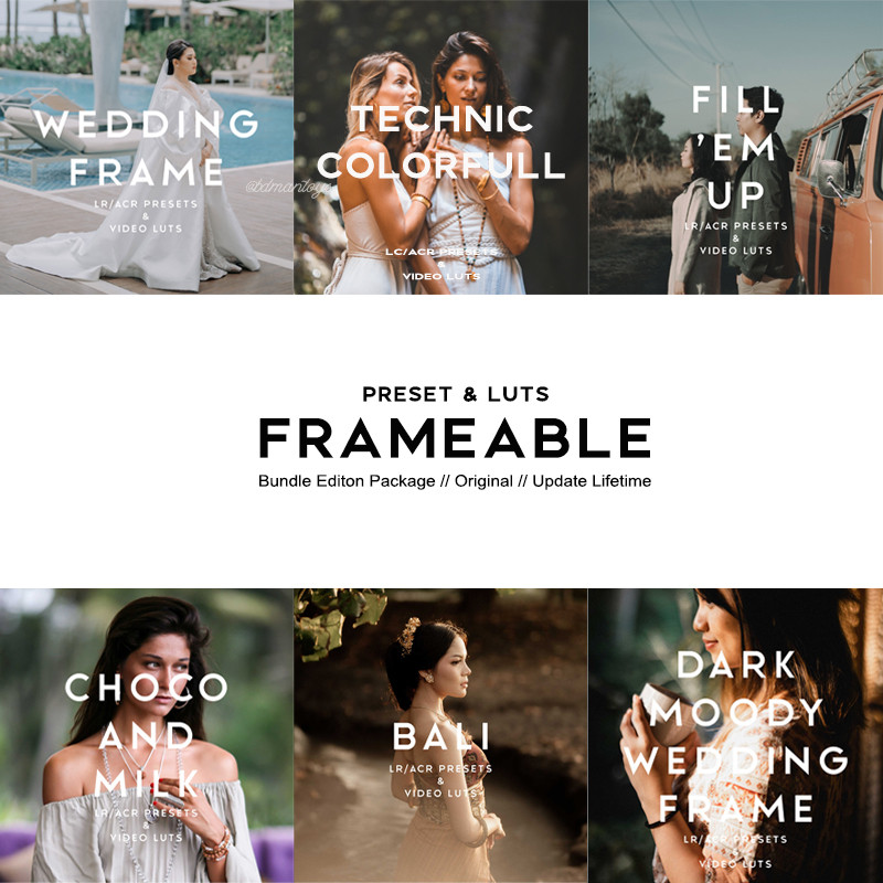 Jual FRAMEABLE ORIGINAL PRESETS & LUTS (LIFETIME & UPDATE) Shopee