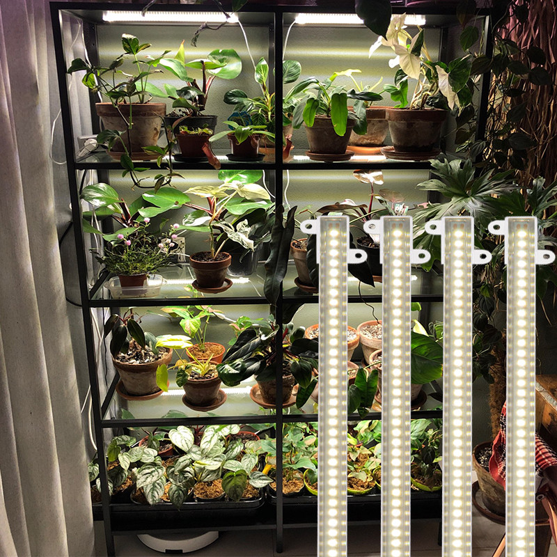 Jual LED Grow Light AC220V Greenhouse Growing Lamp for Plants Seeds ...