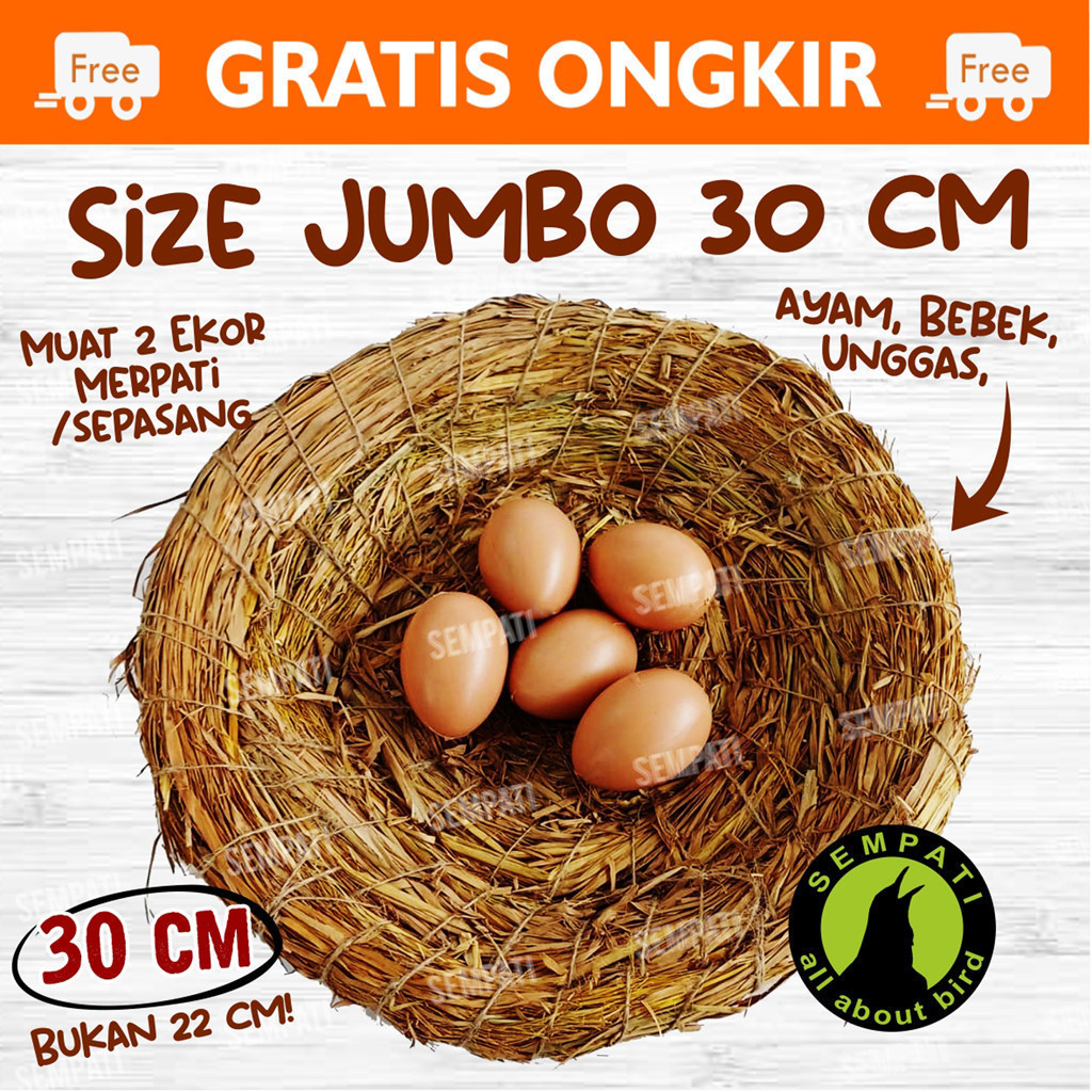 Jual SEMPATI TARANGAN SARANG SUSUH SERAT JERAMI UKURAN BESAR TEMPAT ...