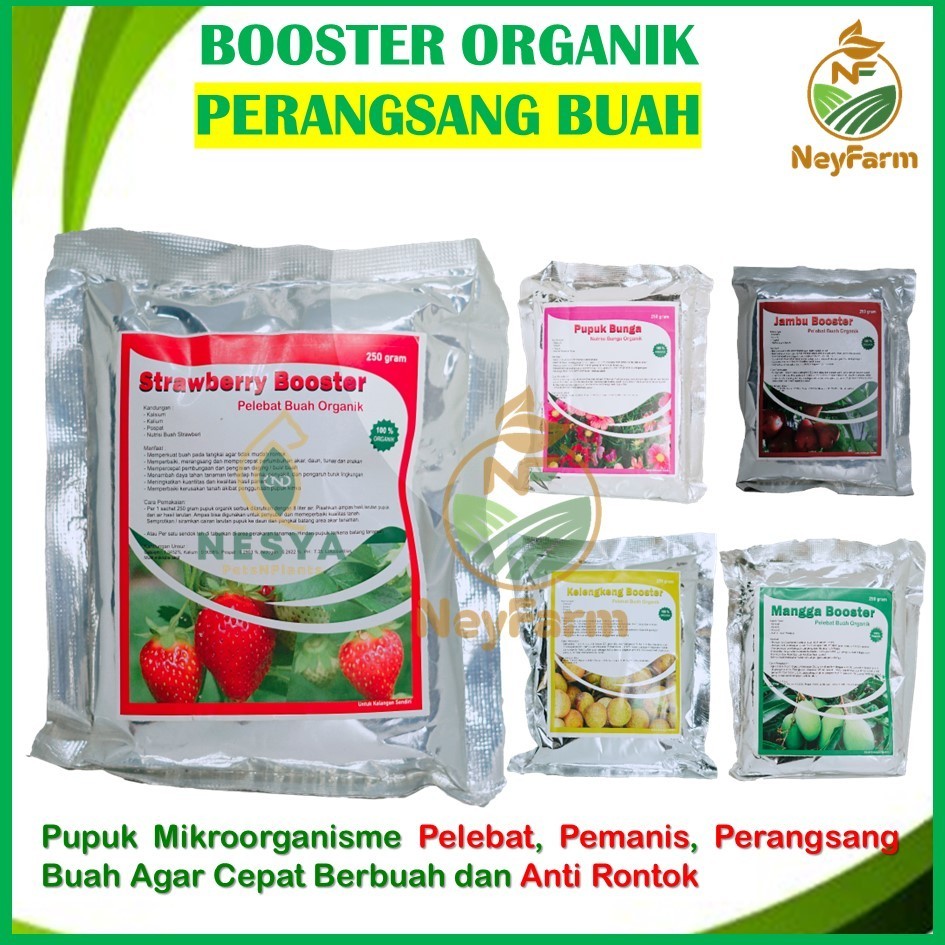 Jual Pupuk Booster Perangsang Buah Anti Rontok Kelengkeng Jeruk Jambu ...