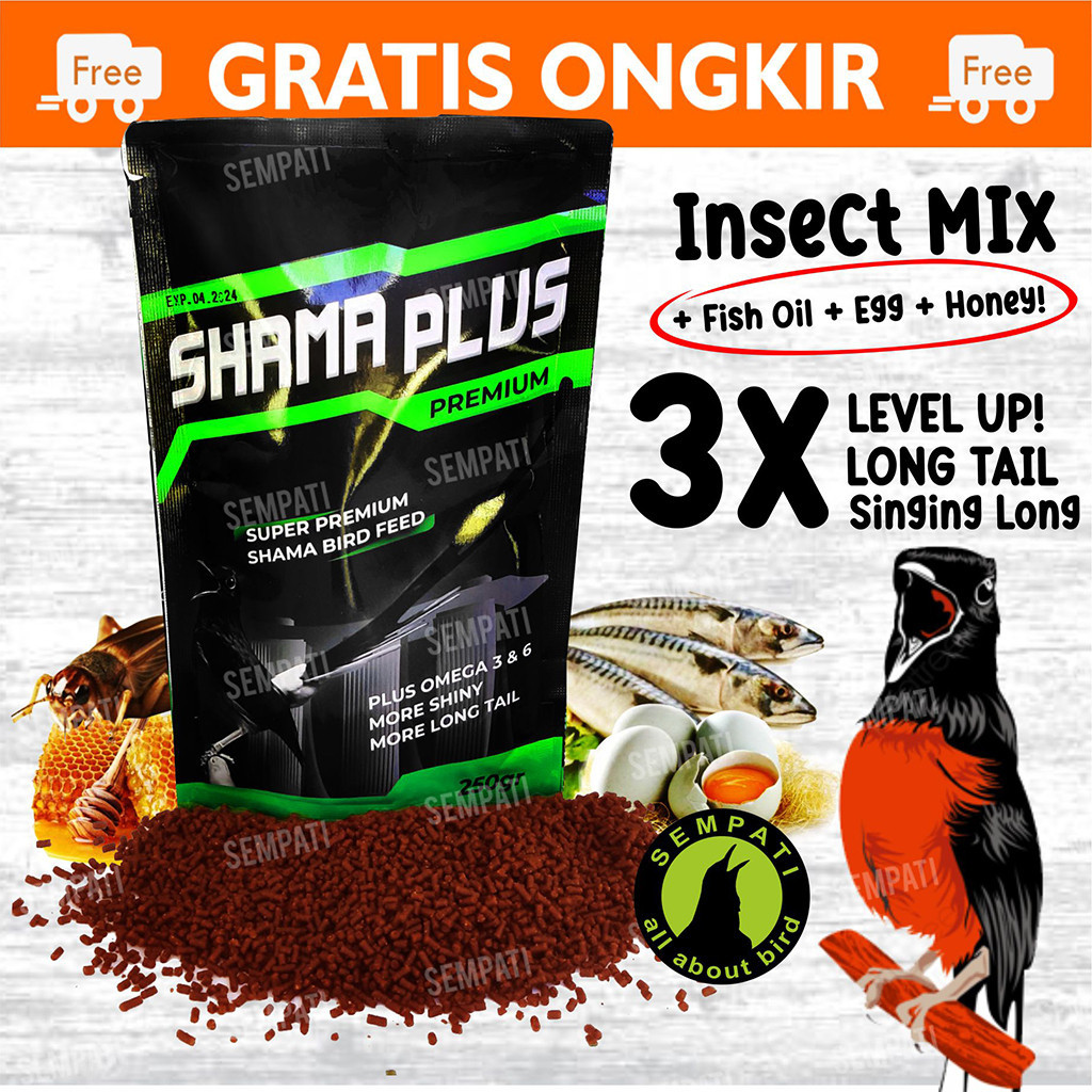 Jual Shama Plus Premium Sempati Gr Voer Pur Pakan Burung Murai Batu