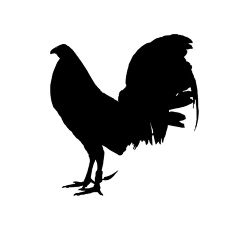 Jual Stiker Mobil Gambar Ayam Stiker Ayam Stiker Mobil Ayam | Shopee ...