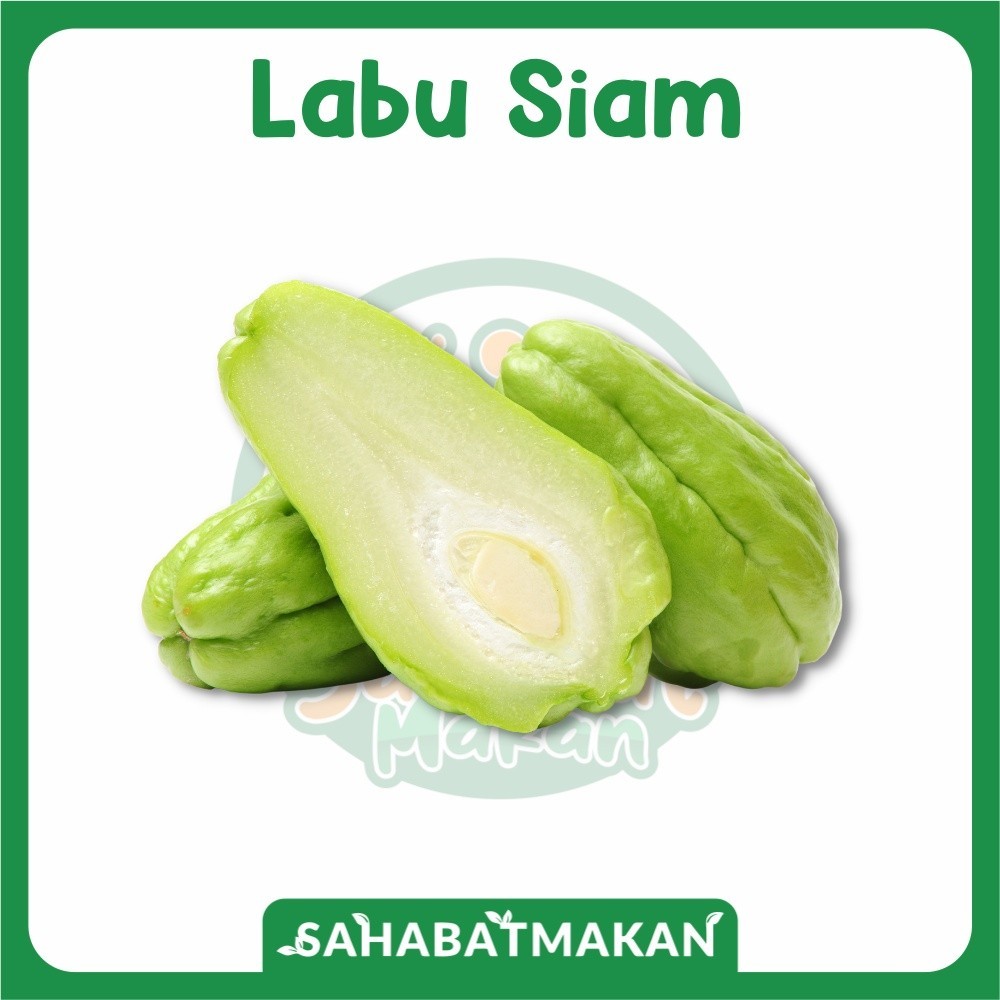 Jual Labu Siam — Daily Fresh Official Store | Shopee Indonesia