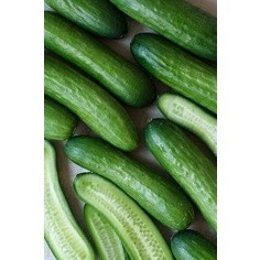 Jual Timun / Ketimun 1kg | Shopee Indonesia