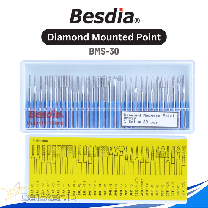 Jual BESDIA Diamond Mounted Point BMS-30 Set 30 pcs | Shopee Indonesia