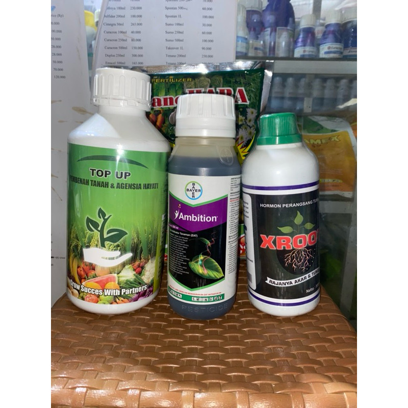Jual Paket Penyemprotan untuk Tanaman Cabai (Xroot, Ambition & Top up ...