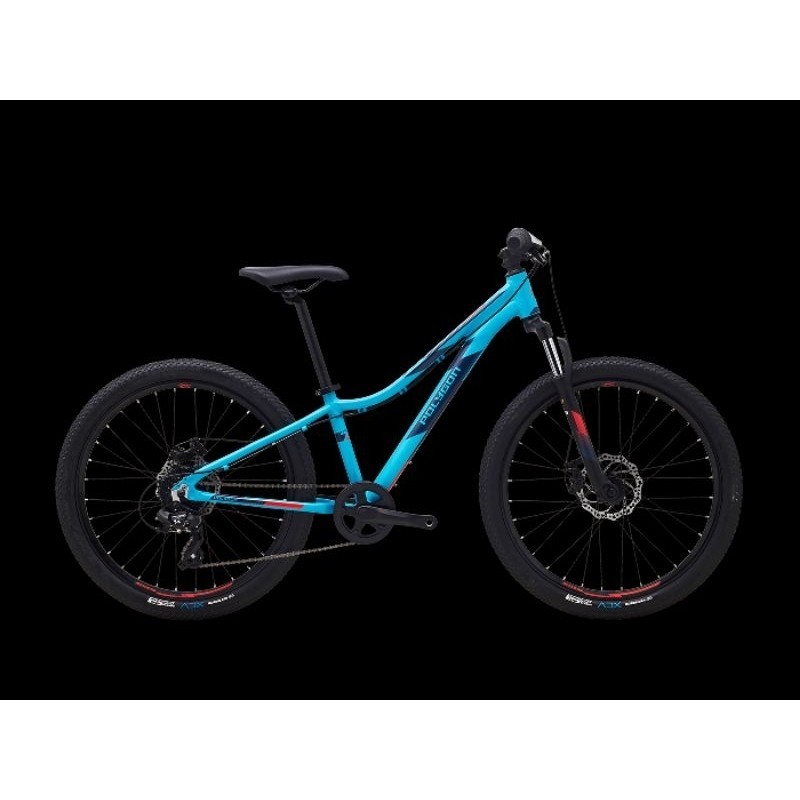 Jual Sepeda MTB 24 POLYGON RELIC | Shopee Indonesia