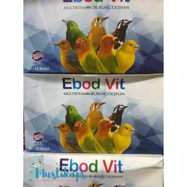 Jual 1 PAK EBOD VIT ISI 12 BOTOL | Shopee Indonesia