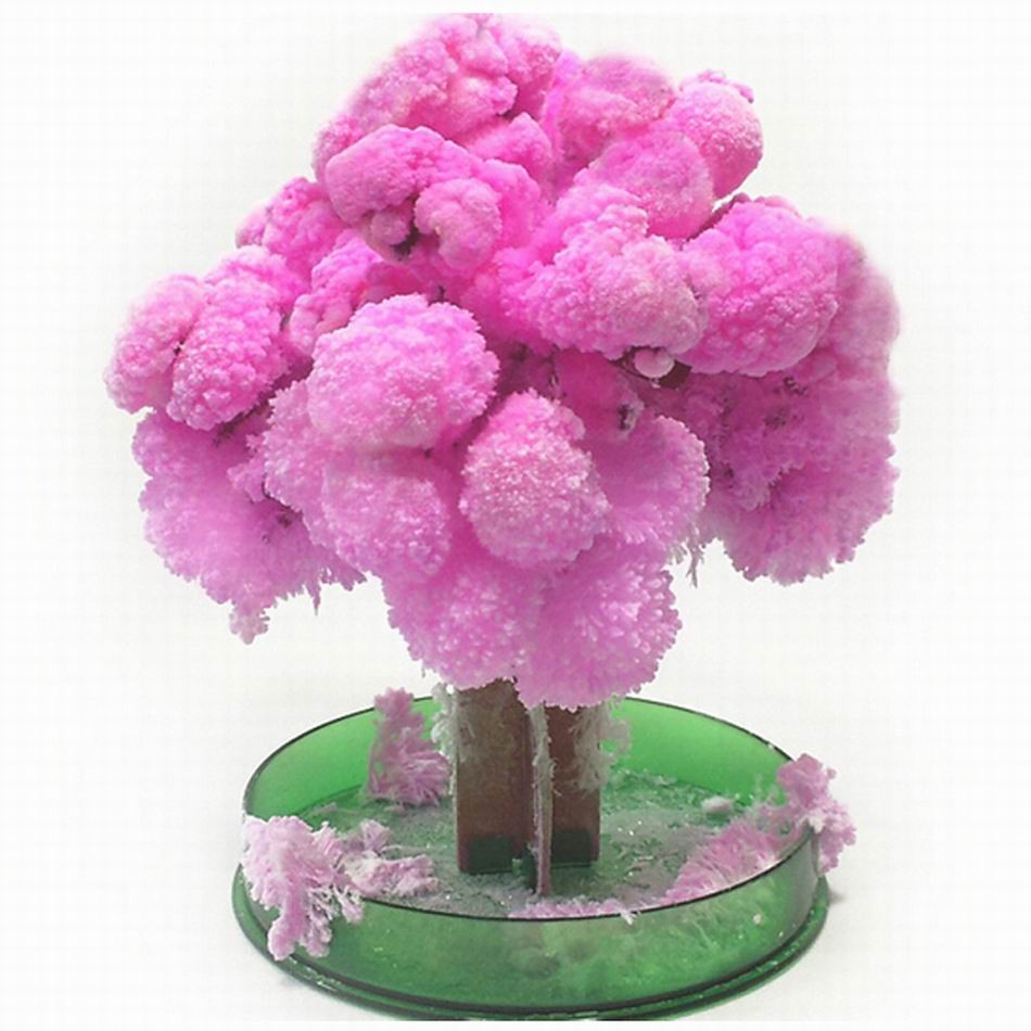 Jual 2022 14cm Visual Artificial Magic Sakura Trees Decorative Grow DIY ...