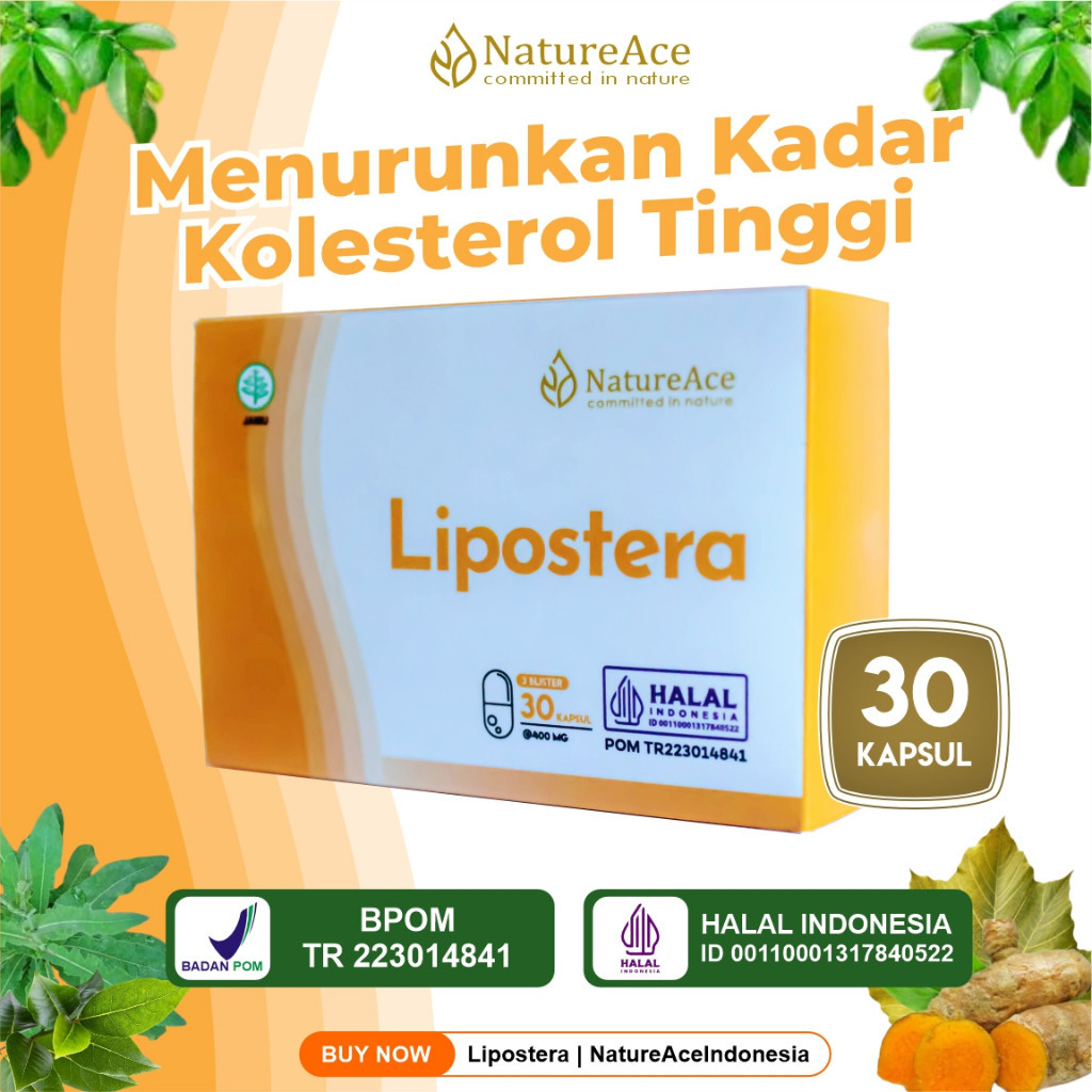 Obat Kolesterol Penurun Trigliserida Tinggi Asam Urat Kebas Tangan Mencegah Pembentukan Plak Bengkak Limpa Trigliserida Jantung Koroner Pembuluh Darah Bengkak Lemah Jantung Herbal Lipostera Efektif dan Aman