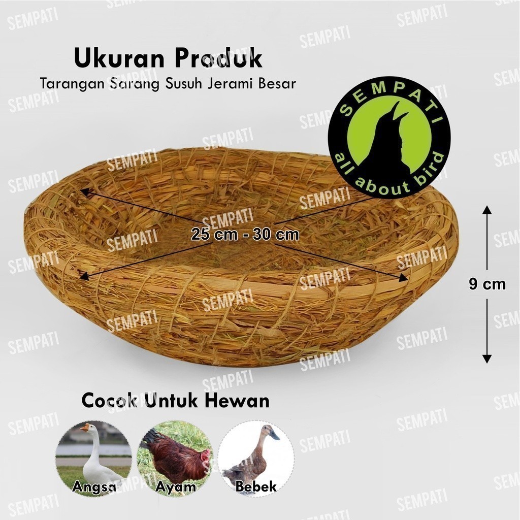 Jual SEMPATI TARANGAN SARANG SUSUH SERAT JERAMI UKURAN BESAR TEMPAT ...