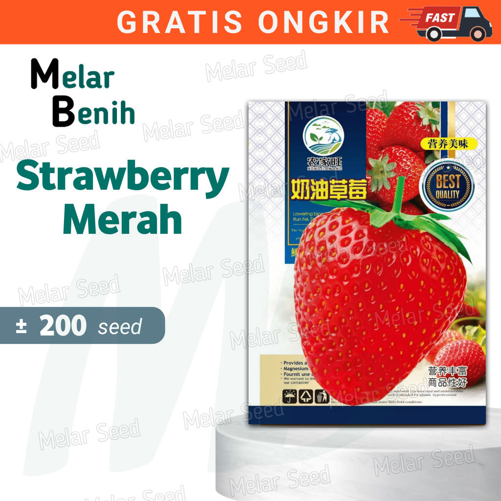 Jual Melar Seed Benih Strawberry JUMBO Rasa Manis Bibit Buah Benih Buah ...
