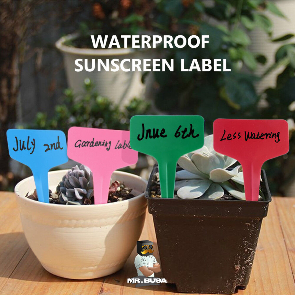 Jual Isi 100PCS Penanda Label Name Tag Tanaman Hias Plant Marker Semai ...