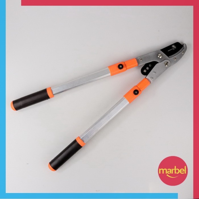 Jual Gunting Dahan Ranting Tinggi Telescopic Pruning Scissor 2026 ...