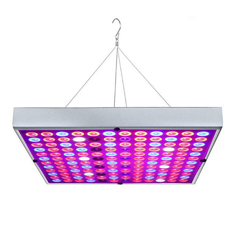 Jual Full Spectrum LED Grow Lights For Indoor House Plants Seeds Flower ...