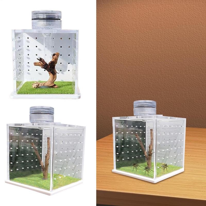 Jual ABS Transparent Jumping Spider Habitat Breeding Box With Light ...
